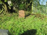 image of grave number 679561
